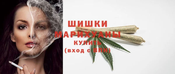 гидропоника Богданович