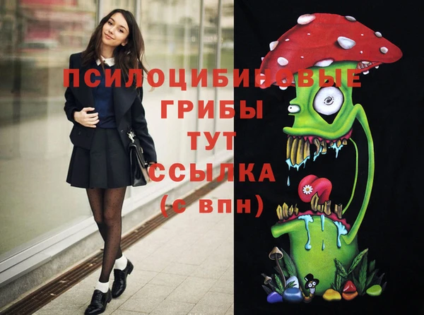 гидропоника Богданович
