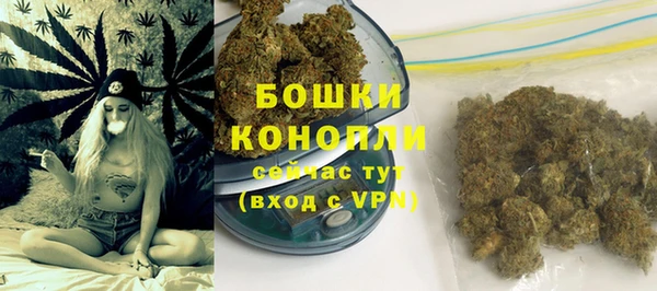 гидропоника Богданович