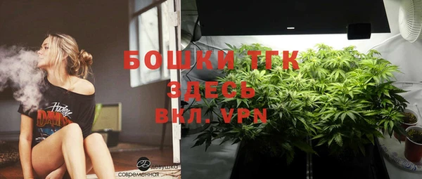 гашик Белокуриха