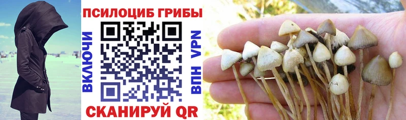 Галлюциногенные грибы MAGIC MUSHROOMS  наркотики  мориарти какой сайт  Тольятти 